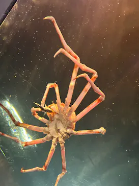 竹島水族館に投稿された画像（2026/1/10）