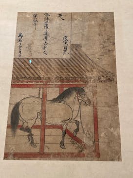 東京国立博物館に投稿された画像（2026/1/10）