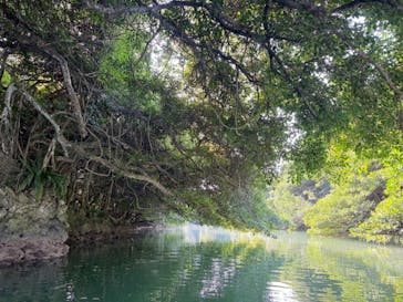 ひかりオーシャンズに投稿された画像（2026/1/10）