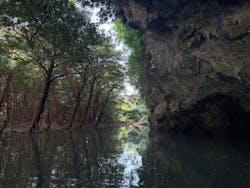 ひかりオーシャンズに投稿された画像（2026/1/10）