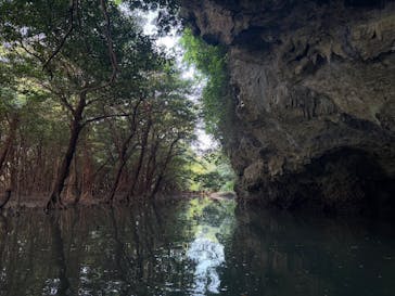 ひかりオーシャンズに投稿された画像（2026/1/10）