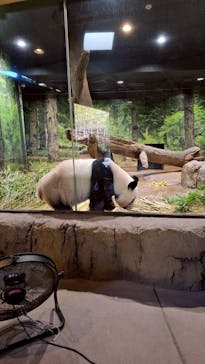 恩賜上野動物園に投稿された画像（2026/1/10）