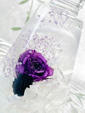 ずこうしつ〜sugamo〜に投稿された画像（2026/1/10）