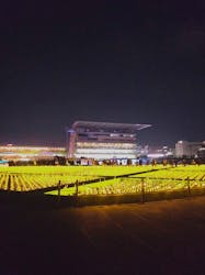 東京メガイルミに投稿された画像（2026/1/10）