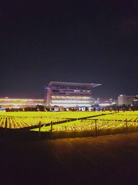 東京メガイルミに投稿された画像（2026/1/10）