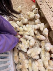 アニタッチ 東京ドームシティに投稿された画像（2026/1/10）