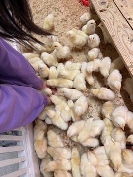 アニタッチ 東京ドームシティに投稿された画像（2026/1/10）