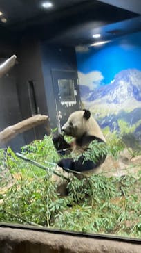 恩賜上野動物園に投稿された画像（2026/1/10）