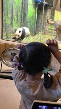 恩賜上野動物園に投稿された画像（2026/1/10）