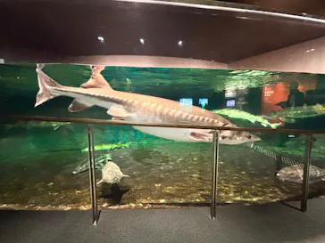 滋賀県立琵琶湖博物館に投稿された画像（2026/1/10）