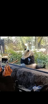 恩賜上野動物園に投稿された画像（2026/1/10）