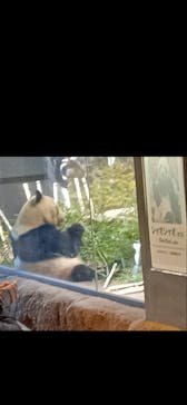 恩賜上野動物園に投稿された画像（2026/1/10）