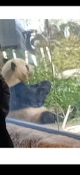 恩賜上野動物園に投稿された画像（2026/1/10）