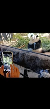 恩賜上野動物園に投稿された画像（2026/1/10）