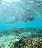 OCEAN LIFE 宮古島に投稿された画像（2026/1/11）