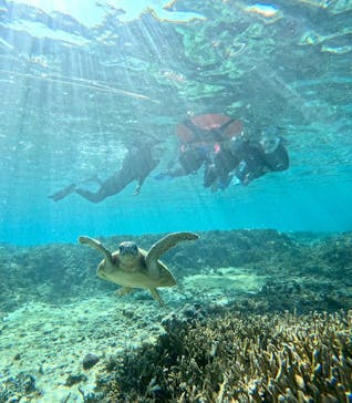 OCEAN LIFE 宮古島に投稿された画像（2026/1/10）