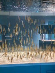 AOAO SAPPOROに投稿された画像（2026/1/10）