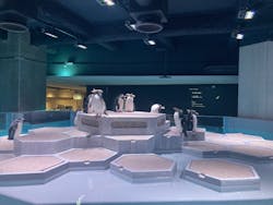 AOAO SAPPOROに投稿された画像（2026/1/10）