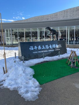 福井県立恐竜博物館に投稿された画像（2026/1/10）