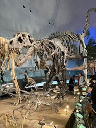 福井県立恐竜博物館に投稿された画像（2026/1/10）
