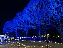 いばらきフラワーパークに投稿された画像（2026/1/10）