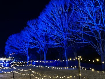 いばらきフラワーパークに投稿された画像（2026/1/10）