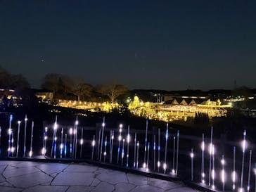 いばらきフラワーパークに投稿された画像（2026/1/10）