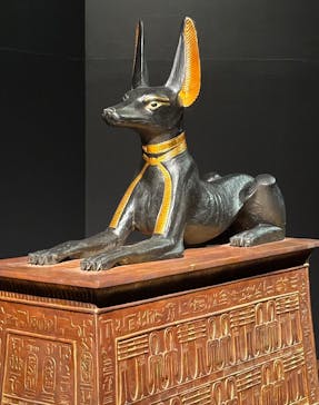 MYSTERY OF TUTANKHAMEN 体感型古代エジプト展に投稿された画像（2026/1/10）