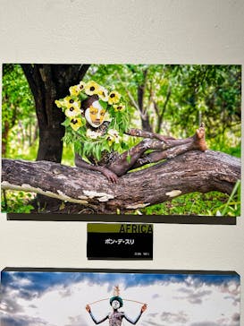 ヨシダナギ写真展　HEROES-RELOADED-に投稿された画像（2026/1/10）