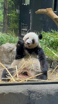 恩賜上野動物園に投稿された画像（2026/1/10）