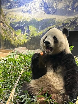 恩賜上野動物園に投稿された画像（2026/1/10）