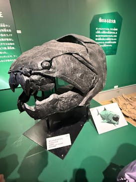 特別展「大絶滅展―生命史のビッグファイブ」に投稿された画像（2026/1/11）