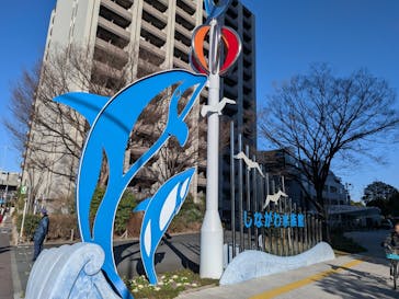 しながわ水族館に投稿された画像（2026/1/11）