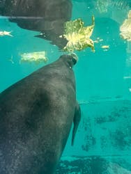 熱川バナナワニ園に投稿された画像（2026/1/11）