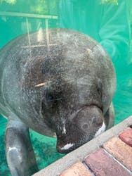 熱川バナナワニ園に投稿された画像（2026/1/11）