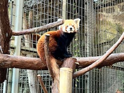 熱川バナナワニ園に投稿された画像（2026/1/11）