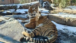 那須どうぶつ王国に投稿された画像（2026/1/11）