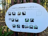 恩賜上野動物園に投稿された画像（2026/1/11）