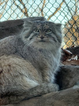 こども動物自然公園（埼玉県公園緑地協会）に投稿された画像（2026/1/11）