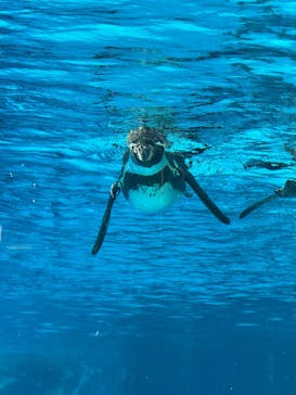 こども動物自然公園（埼玉県公園緑地協会）に投稿された画像（2026/1/11）