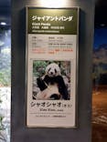 恩賜上野動物園に投稿された画像（2026/1/11）