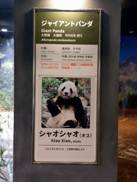 恩賜上野動物園に投稿された画像（2026/1/11）