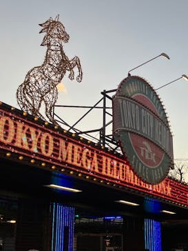 東京メガイルミに投稿された画像（2026/1/11）