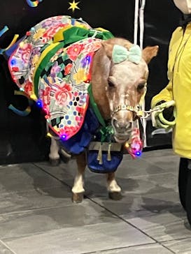 東京メガイルミに投稿された画像（2026/1/11）