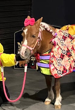 東京メガイルミに投稿された画像（2026/1/11）