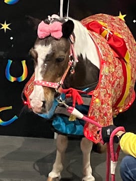 東京メガイルミに投稿された画像（2026/1/11）