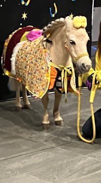 東京メガイルミに投稿された画像（2026/1/11）