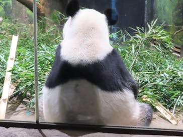 恩賜上野動物園に投稿された画像（2026/1/11）