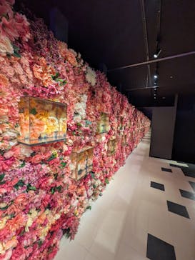 NARA KINGYO MUSEUMに投稿された画像（2026/1/11）