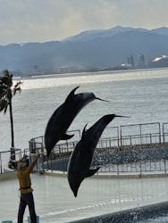 マリンワールド海の中道に投稿された画像（2026/1/11）